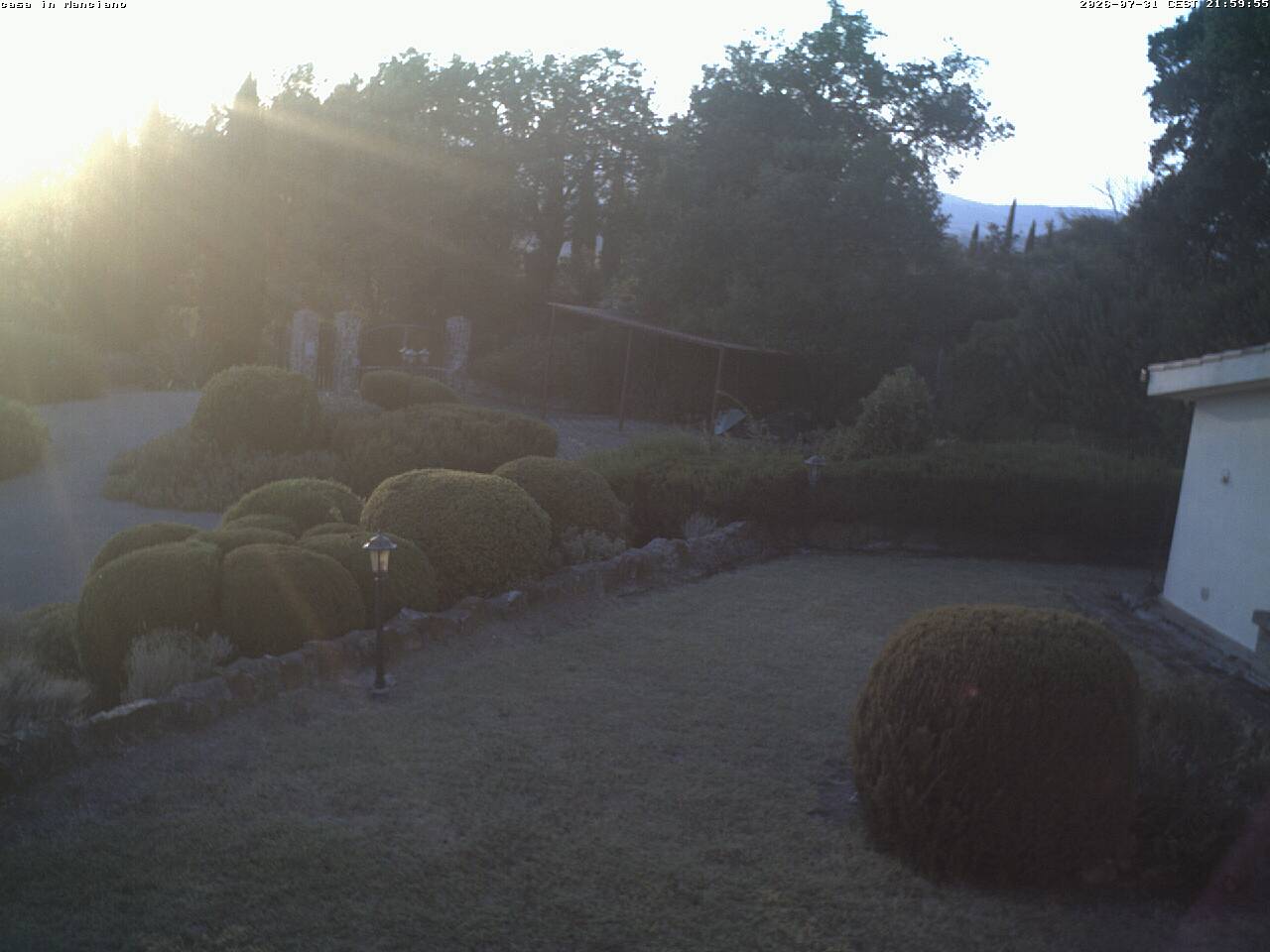 Camera Live Image