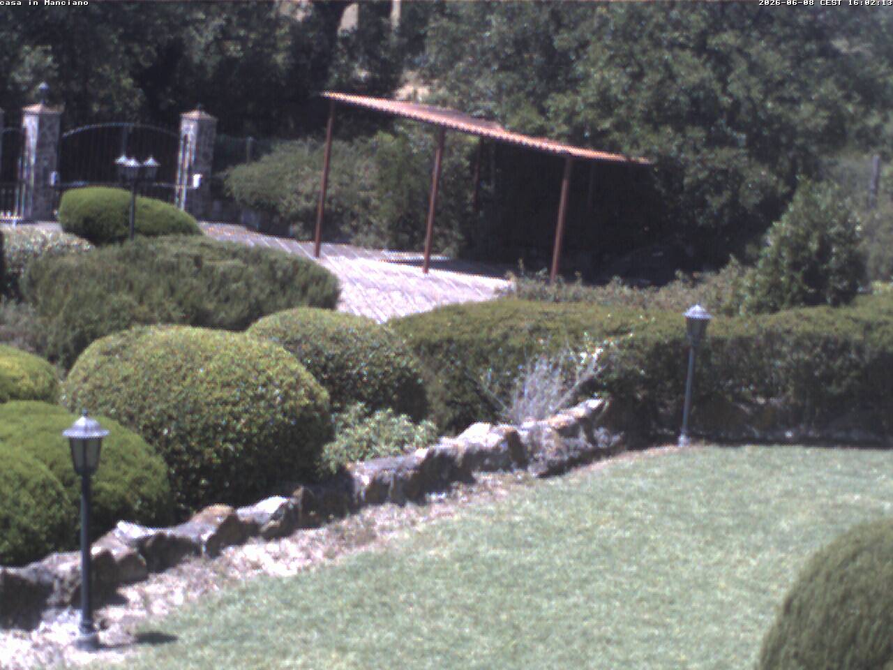 Camera Live Image