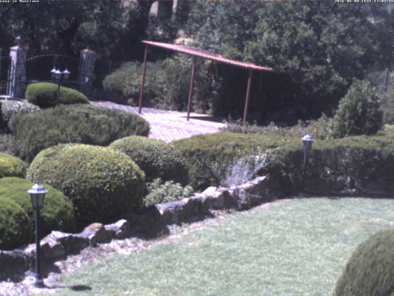 Camera Live Image