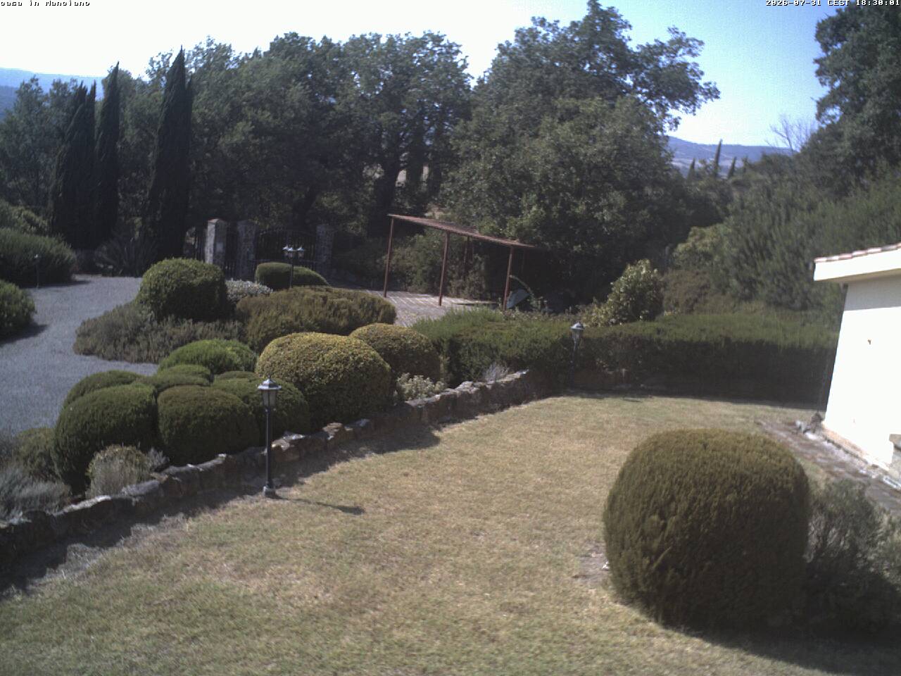 Camera Live Image