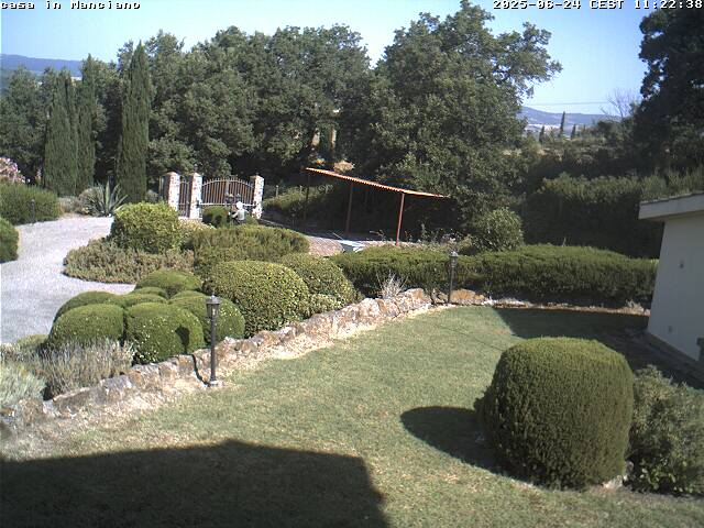 Camera Live Image