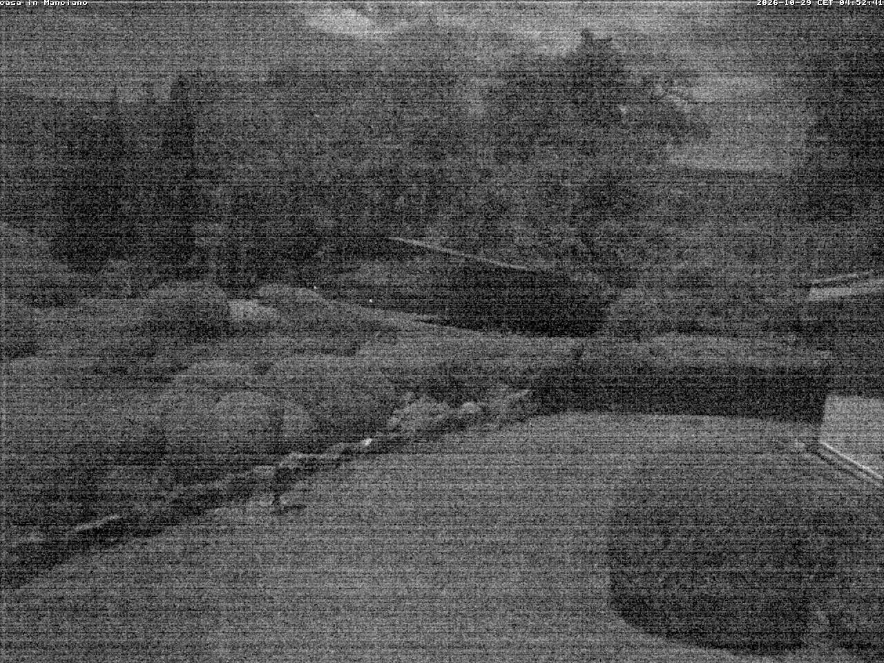 Camera Live Image