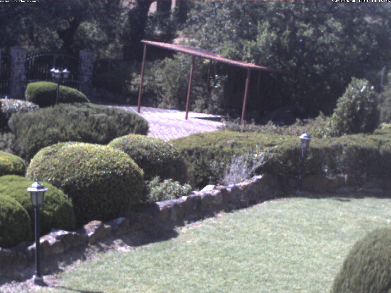 Camera Live Image