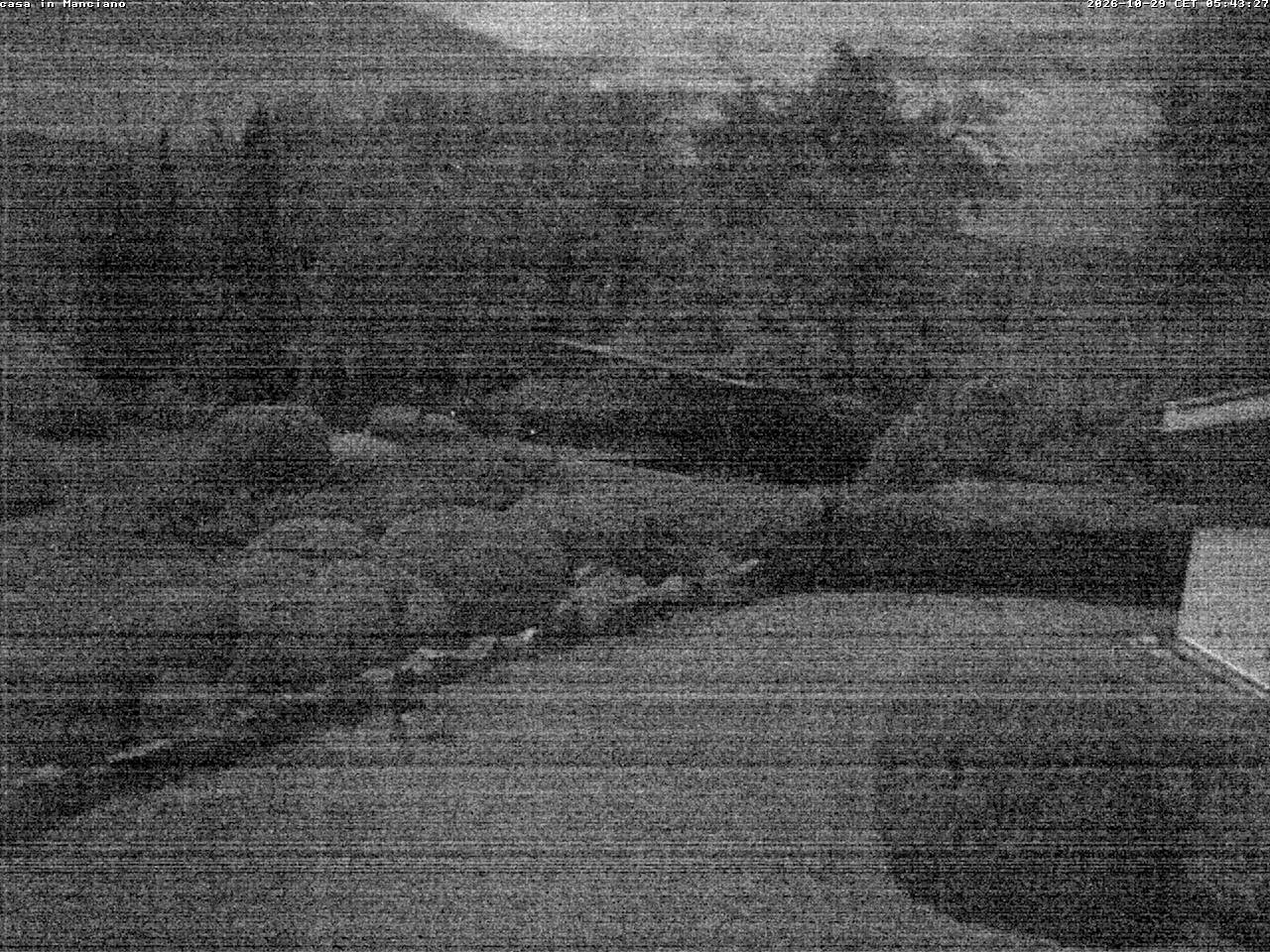 Camera Live Image