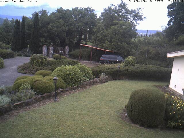 Camera Live Image
